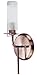 Wall Sconce - Frosted Glass - Cordoba Collection - WM-002-CF-H