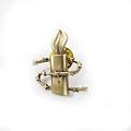 Amnesty International 50th Anniversary Pin (Gold)