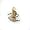 Amnesty International 50th Anniversary Pin (Gold)