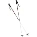 Joystick Nimbus X Ski Pole