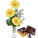 Flowers - Sassy Gerberas