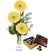 Flowers - Sassy Gerberas