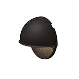 Trans Globe Lighting LND-117 BK LED 4-Inch Deck Light, Black [並行輸入品]