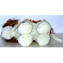 Webkinz Virtual Pet Plush - ST. BERNARD (Retired) ( NO MAGIC "W" )