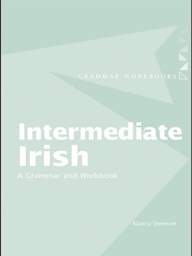 Intermediate Irish: A Grammar and Workbook (Grammar Workbooks)