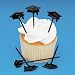 72 pc Graduation Cupcake or Appetizer Picks
