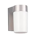 Sea Gull Lighting 8301 04 Single Light Outdoor Wall Lantern with White Plastic Diffuser, Satin Aluminum 31AmIa2pG L. SL160 Sea Gull Lighting 8301 04 Single Light Outdoor Wall Lantern with White Plastic Diffuser, Satin Aluminum