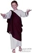 Children's Roman Caesar Costume (Size:Large 12-14)