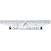 ROLLING RULER - 12