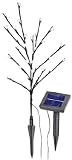 Solarleuchte Lichterstrauch Leuchtbälle