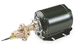 Rotary Gear Pumps - Carbonator Mount - with 1/3hp motor 1/4 port size Bronze # 6PA29