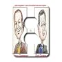 Londons Times Funny Panel Hollywood Cartoons - Kelsey Grammer, Bad Grammar - Light Switch Covers - 2 plug outlet cover