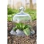 2 x Small Victorian Glass Bell Jars - Cloches
