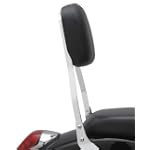 Cobra Short Sissy Bar 02-5745