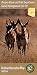 Arizona Game & Fish Department Game Management Unit 10 Outdoor Recreation Map