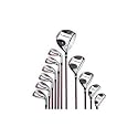Wilson Pro Staff 360 Complete Ladies Golf Set