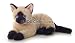   - Wildlife / Domestic Animals : Sasha the Siamese Cat 12