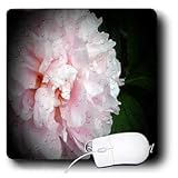WhiteOak Photography Inspirational Floral Prints - Enlightenment Peony flower with writing - Mouse Pads