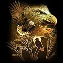 American Eagle Adult Sweatshirt