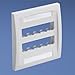 Panduit CFPE10EI-2GY 2-Gang 10-Port Faceplate, Electric Ivory
