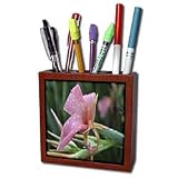 WhiteOak Photography Floral Prints - Pink Cannas Pink Flowers - Tile Pen Holders-5 inch tile pen holder