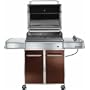 Weber 3742301