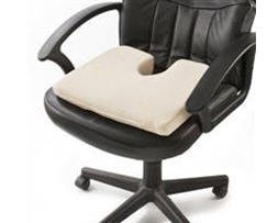 Image of Pleasure Pedic Memory Foam Lumbar Cushion