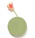 Chive Wall Dot Moss Vase