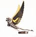 Beautiful CHROME ~"FLYING GODDESS" Auto/Truck HOOD ORNAMENT~GOLD WINGS~Check-IT-Out!!! Beautiful CHROME ~"FLYING GODDESS" Auto/Truck HOOD ORNAMENT~GOLD WINGS~Check-IT-Out!!!