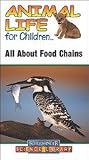 Animal Life for Children All About Food Chains