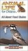 Animal Life for Children All About Food Chains