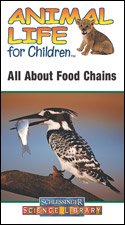 Animal Life for Children All About Food Chains