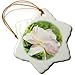 Garden Beauty A Pink Rose Flowers Photography - 3 Inch Snowflake Porcelain Ornament