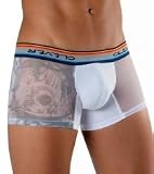 Clever Antiqua Trunk 2012