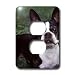 boston terrier - Dogs Boston Terrier - Boston Terrier Duke - Light Switch Covers - 2 plug outlet cover