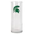 Michigan State Spartans NCAA 9 Flower Vase - Primary Logo by Great American Products