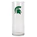 Michigan State Spartans NCAA 9 Flower Vase - Primary Logo by Great American Products