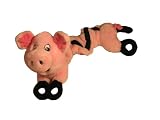 EXTREME Bungee Pig