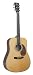 Recording King RD-126-FE2 Classic Series Dreadnought Acoustic-Electric Guitar with Herringbone