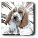 Dogs Basset Hound - Basset Hound Puppy - Mouse Pads