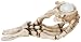 SKELETON HAND HOLDING VERTEBRAE, SS-6763