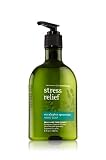 Bath & Body Works Aromatherapy Original Eucalyptus Spearmint Stress Relief Hand Soap 8 oz (236 ml)