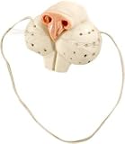 Rabbit Costume Nose