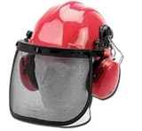 DRAPER EXPERT FORESTRY HELMET