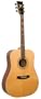 Recording King Gospel Songstress Acoustic Guitar (Mahogany)