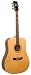 Recording King Gospel Songstress Acoustic Guitar (Mahogany)
