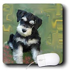 image link -  - B002I87HO4
