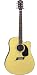 Michael Kelly Nostalgia 10 CE N10CE Acoustic Electric Guitar