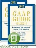 GAAP Guide (2013)