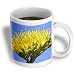 Bee pollinates a Desert Agave flower also called a Century Plant - 11oz Mug